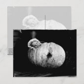 ヴィンテージのかわいいベビー ポストカード (正面/裏面)