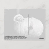 ヴィンテージのかわいいベビー ポストカード (裏面)