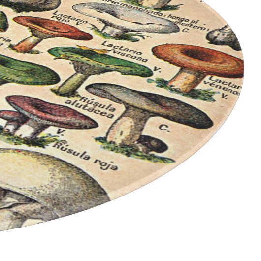 ヴィンテージのきのこのイラストレーションのガラスまな板 カッティングボード (角)