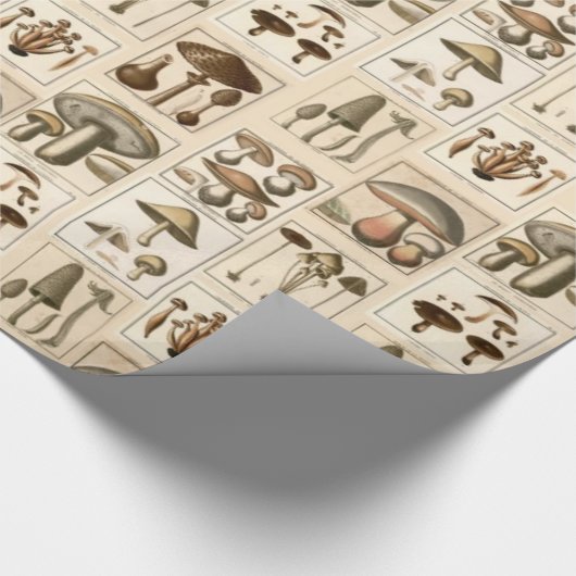 ヴィンテージのきのこの植物のプリントの包装紙 ラッピングペーパー (角)