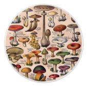 ヴィンテージのきのこガイドの引出しの引き セラミックノブ (正面)