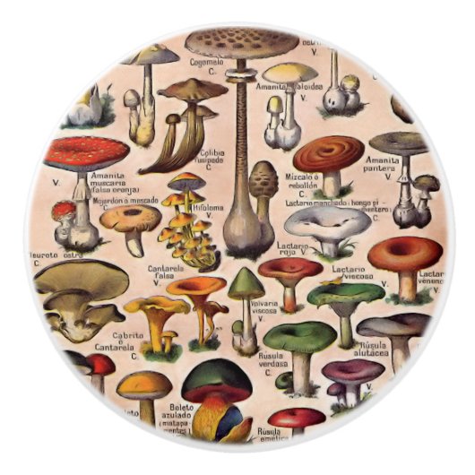 ヴィンテージのきのこガイドの引出しの引き セラミックノブ (正面)