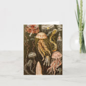 ヴィンテージのくらげの旧式なクラゲのイラストレーション カード (正面)