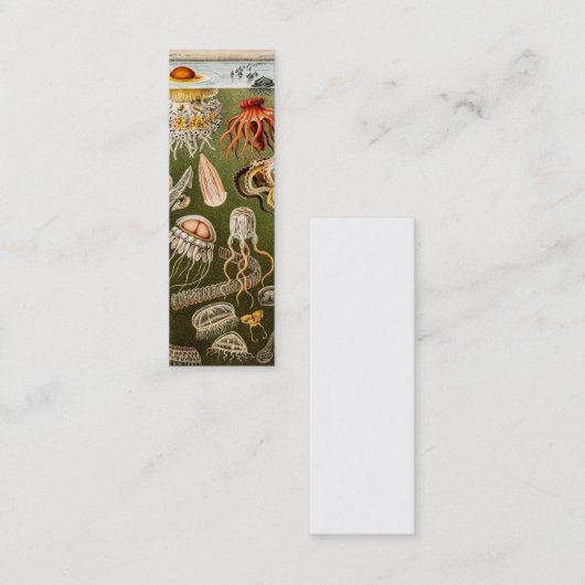 ヴィンテージのくらげの旧式なクラゲのイラストレーション スキニー名刺 (正面/裏面)