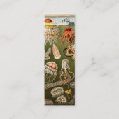 ヴィンテージのくらげの旧式なクラゲのイラストレーション スキニー名刺 (正面)