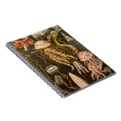 ヴィンテージのくらげの旧式なクラゲのイラストレーション ノートブック (右側)