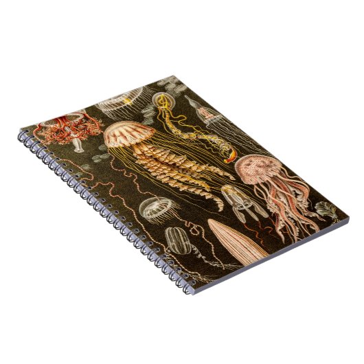 ヴィンテージのくらげの旧式なクラゲのイラストレーション ノートブック (右側)