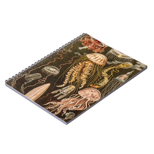 ヴィンテージのくらげの旧式なクラゲのイラストレーション ノートブック (左側)