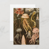 ヴィンテージのくらげの旧式なクラゲのイラストレーション 出欠カード (正面/裏面)