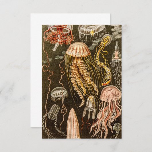 ヴィンテージのくらげの旧式なクラゲのイラストレーション 出欠カード (正面/裏面)