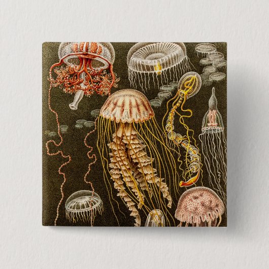 ヴィンテージのくらげの旧式なクラゲのテンプレート 缶バッジ (正面)