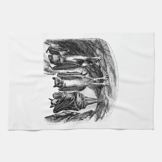 ヴィンテージのこうもりの19世紀のオオコウモリのこうもり キッチンタオル (横)