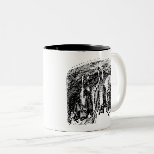 ヴィンテージのこうもりの19世紀のオオコウモリのこうもり ツートーンマグカップ (正面右)