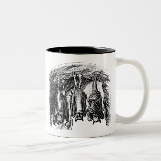 ヴィンテージのこうもりの19世紀のオオコウモリのこうもり ツートーンマグカップ (右)