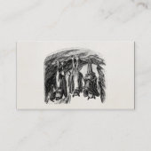 ヴィンテージのこうもりの19世紀のオオコウモリのこうもり 名刺 (正面)