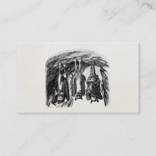 ヴィンテージのこうもりの19世紀のオオコウモリのこうもり 名刺 (正面)