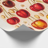 ヴィンテージのさくらんぼの変化の旧式なさくらんぼのフルーツ ラッピングペーパー (角)
