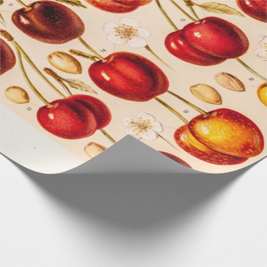 ヴィンテージのさくらんぼの変化の旧式なさくらんぼのフルーツ ラッピングペーパー (角)