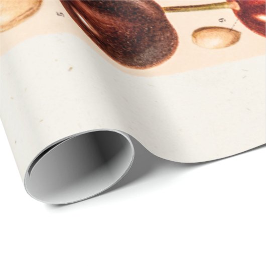 ヴィンテージのさくらんぼの変化の旧式なさくらんぼのフルーツ ラッピングペーパー (ロールコーナー)