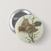 ヴィンテージのすずめ 缶バッジ (正面&裏面)