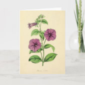 ヴィンテージのすみれ色の花のイラスト カード (正面)