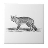 ヴィンテージのずるいキツネのイラストレーション- 1800'sキツネ タイル (正面)