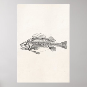 ヴィンテージのとまり木の魚の骨組-魚のテンプレート ポスター