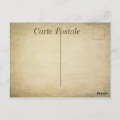 ヴィンテージのねこと子猫 ポストカード (裏面)