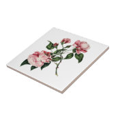 ヴィンテージのばら色のタイル タイル (側面)