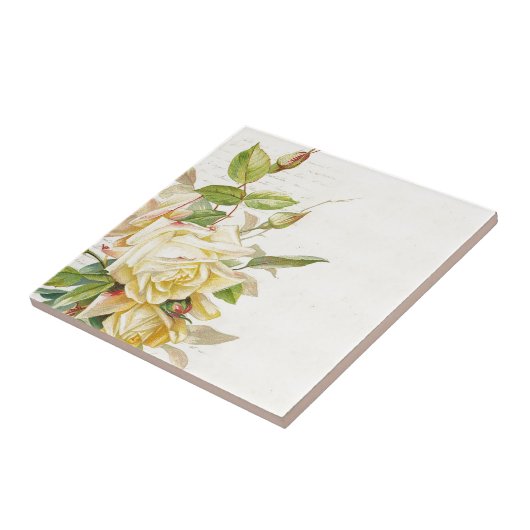 ヴィンテージのばら色の花の花柄パターン タイル (側面)