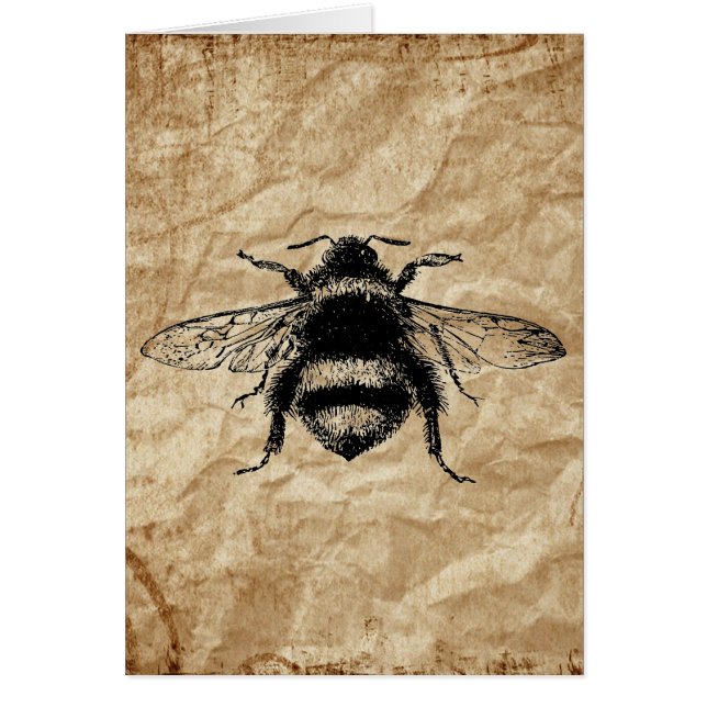 ヴィンテージのまわりに (正面)