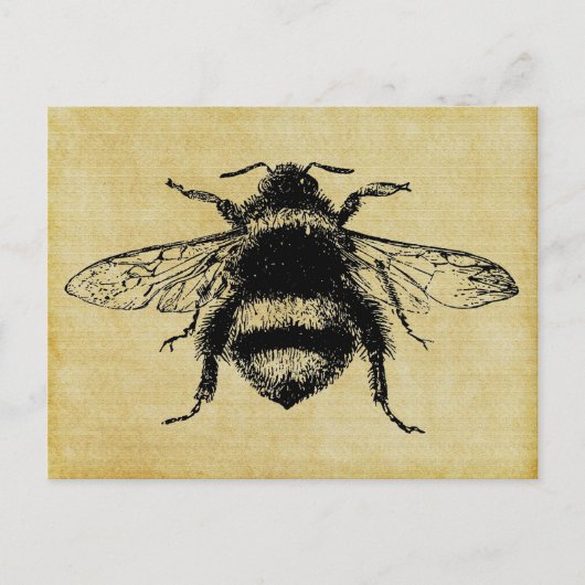 ヴィンテージのまわりに ポストカード (正面)