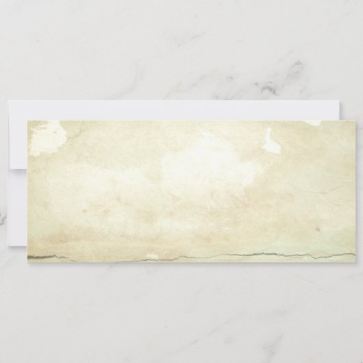 ヴィンテージのやし海岸の搭乗券の結婚式のチケット 招待状 (裏面)