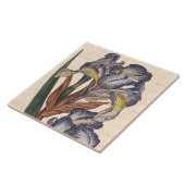 ヴィンテージのアイリスによっては旧式な植物のプリントが開花します タイル (側面)