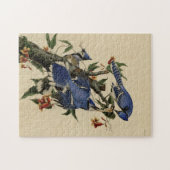 ヴィンテージのアオカケスのパズル ジグソーパズル (横)