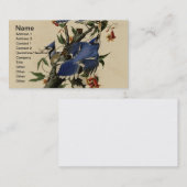 ヴィンテージのアオカケスの名刺 名刺 (正面/裏面)