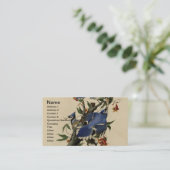 ヴィンテージのアオカケスの名刺 名刺 (スタンド正面)