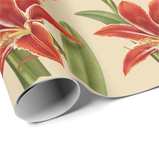 ヴィンテージのアマリリスのクリスマスの応援(Lg。 イメージ) ラッピングペーパー (ロールコーナー)
