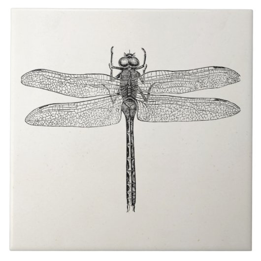 ヴィンテージのアメリカのトンボのドラゴンのはえのテンプレート タイル (正面)