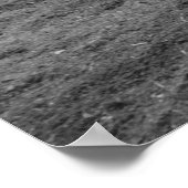 ヴィンテージのアラビアンと少年 ポスター (角)