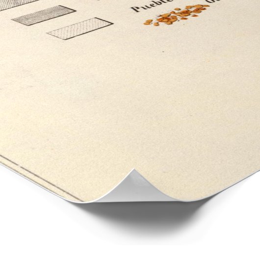 ヴィンテージのアリゾナ州とニューメキシコの地図(1866年) ポスター (角)