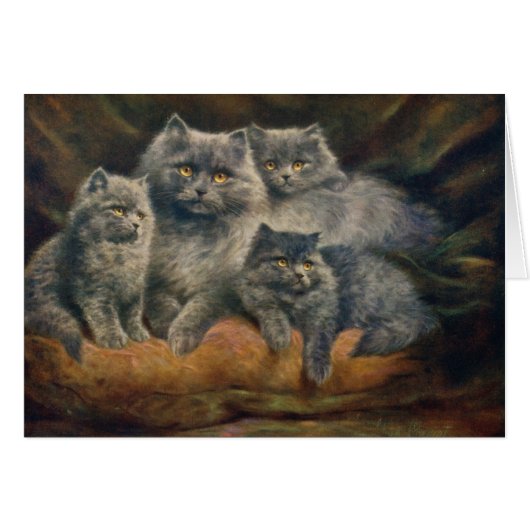 ヴィンテージのアートワーク-美しいネコ科、 (正面横)