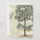 ヴィンテージのイタリア人のミルテの木の結婚式招待状 招待状 (裏面)