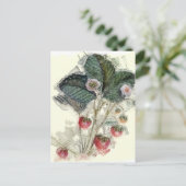 ヴィンテージのイチゴと花 ポストカード (スタンド正面)