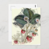 ヴィンテージのイチゴと花 ポストカード (正面/裏面)