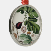 ヴィンテージのイチジクの植物のプリント メタルオーナメント (右)