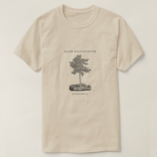 ヴィンテージのイメージのサトウカエデの木 Tシャツ (デザイン正面)