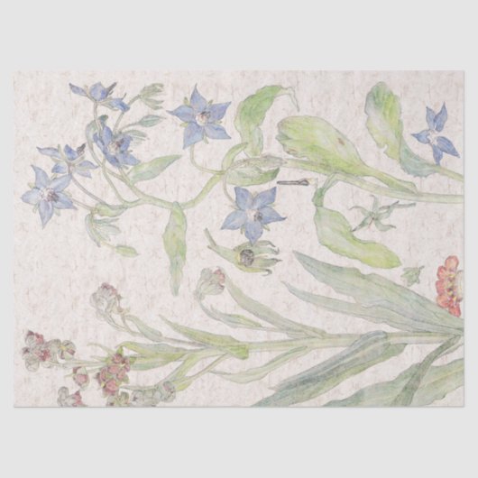 ヴィンテージのイラクサの野生の花によってはティッシュペーパーが開花します 薄葉紙 (正面)