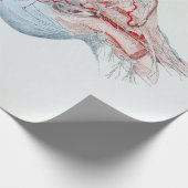 ヴィンテージのイラストレーションの解剖学の人間の頭および目 ラッピングペーパー (角)