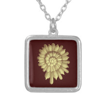 ヴィンテージのイラストレーションの貝殻A01